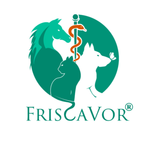 FriscaVor Logo klein